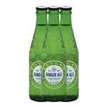 BOYLAN SODA GINGER ALE GLASS BOTTLE 355ML X 24 PK