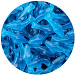 JUICY JELLY OIL SHARKS 1KG