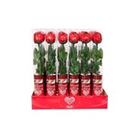 MILK CHCOCOLATE ROSE 18G X 24PK