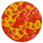 JUICY JELLY 3D GOLDFISH GUMMY CANDY 1KG BAG